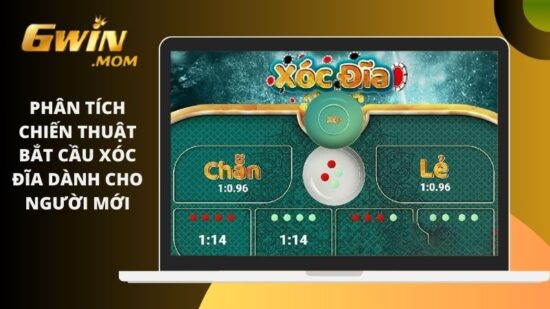 Phân tích chiến thuật bắt cầu xóc đĩa dành cho người mới