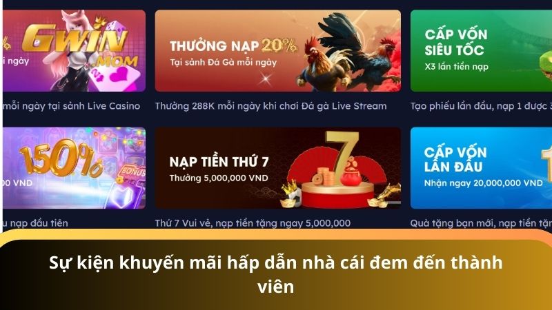 Sự kiện khuyến mãi hấp dẫn nhà cái đem đến thành viên